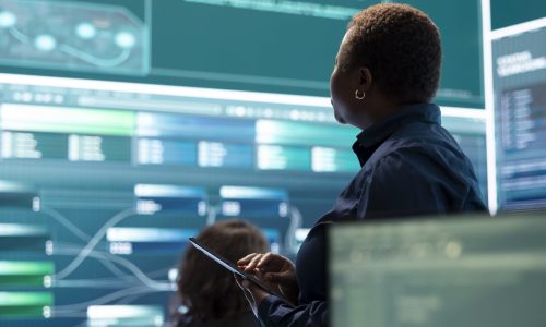 Governmental hackers execute cyber attacks by breaking passwords, compromising online security. Specialists infiltrate digital networks, breaching security protocols. Cyber surveillance.